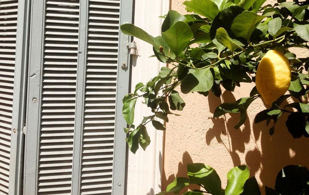 Chanteclair Cannes Eksteriør billede